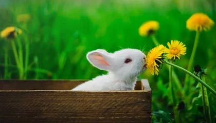 王钰栋戴帽！U22国足10-0领先